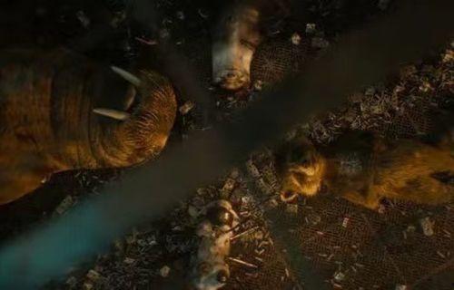 响箭电影在线观看,揭秘热门影视作品的魅力所在  第3张