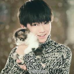 王俊凯知乎爆料视频下载,揭秘明星幕后故事与成长点滴  第3张