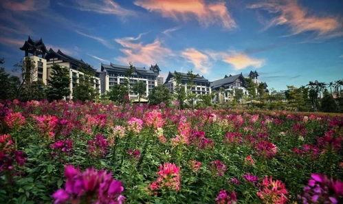 清远爆料新闻,揭秘神秘事件背后的真相  第3张