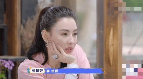 张柏芝三儿子爆料视频,揭秘明星育儿幕后故事  第2张