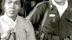 在线观看奇袭,网络战场的逆袭之战  第1张