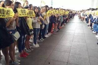 洛阳爆料兄弟事件最新,揭秘背后真相与冲突升级  第3张