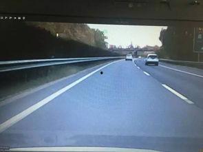 网友爆料私家车违法吗视频  第3张